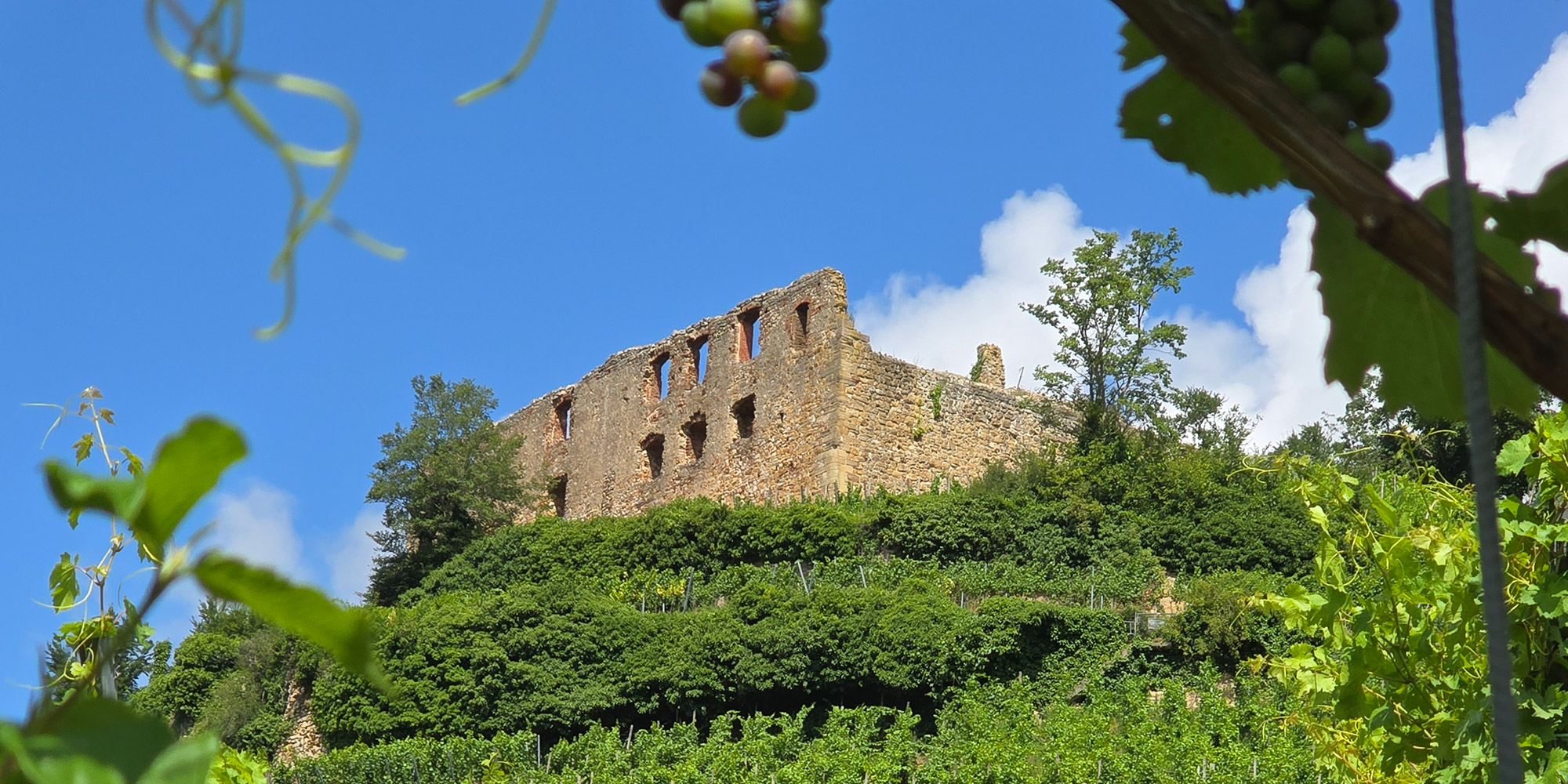 Staufener Burg über den Weinbergen – paar Minuten von der Ferienwohnung