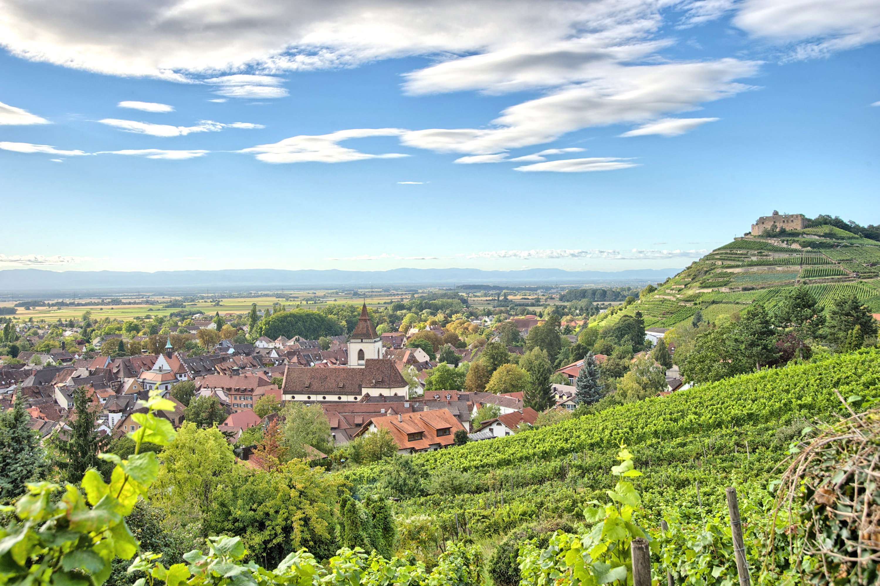 Ferienwohnung Vogesenblick Staufen – Terrasse mit Ausblick