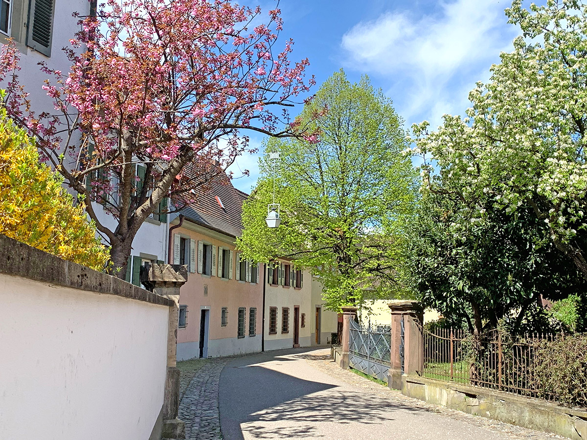 Flanieren Sie durch mittelalterliche Gässchen