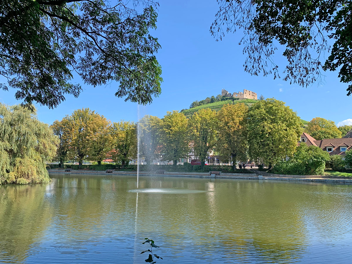 Stadtsee mit Blick zur Burg
