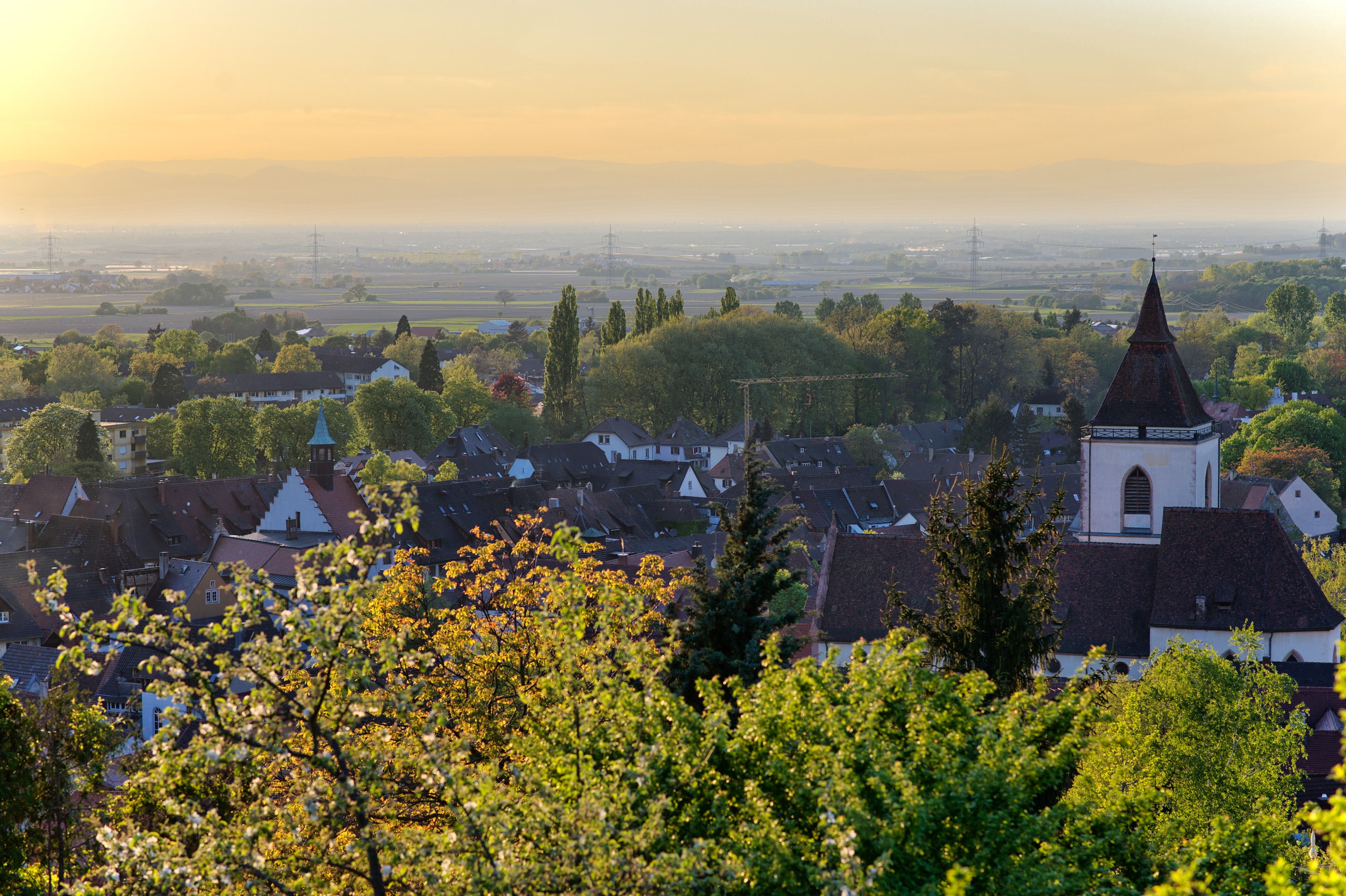 Staufen im Breisgau in der Morgenstimmung